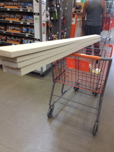 boy, the looks I got walking through Home Depot with this in my cart!