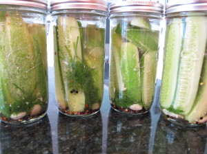 When life gives you cucumbers, make pickles!