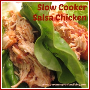 Beth Rosen, RD slow cooker salsa chicken