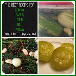 The Best Recipe for Kosher Garlic Sour Dill Pickles Using Lacto-Fermentation!