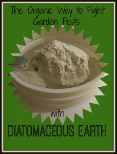 The Organic Way to Fight Pests With Diatomaceous Earth