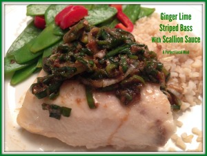 Ginger Lime Striped Bass with Scallion Sauce:  A Perfect Local Meal