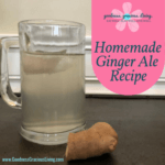 homemade ginger ale recipe